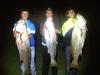 Dhufish123's Mulloway