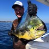 Greatrex's Dolphinfish