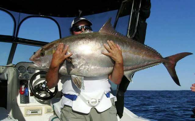 Jody's Amberjack - POTM competition January